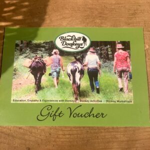 Photo of a paper gift voucher showing people and donkeys photographed from behind and sharing details of what's on offer