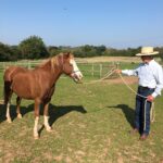 Photo of a man outside with a chestnut pony in halter with lead