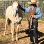 Photo of a man and a horse on a lead in an outdoor arena