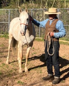 Photo of a man and a horse on a lead in an outdoor arena