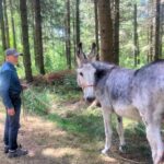 Photo of a man leading a donkey through woodland