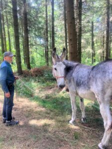 Photo of a man leading a donkey through woodland