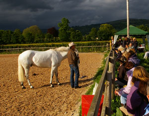 Horse Lecture Demonstrations