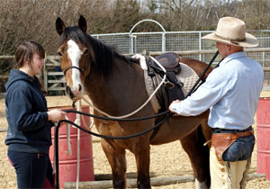Horse and Owner Courses