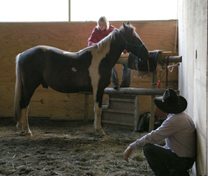 Horsemanship Courses