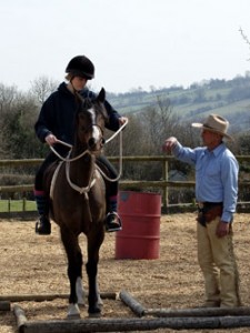 Horse Riding Lessons