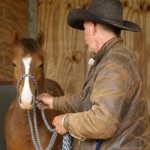 Starting Young Horses