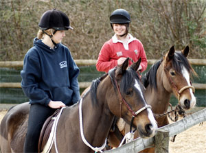 Horse Training Courses